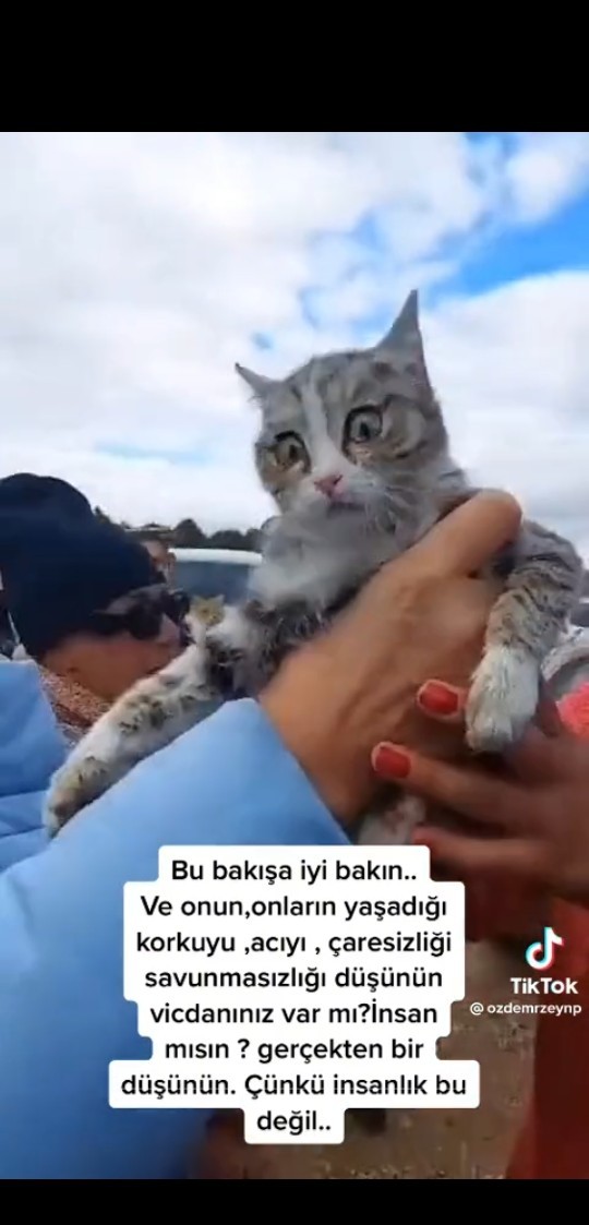 Bu güzelliğin gözlerindeki nasıl bir korku?