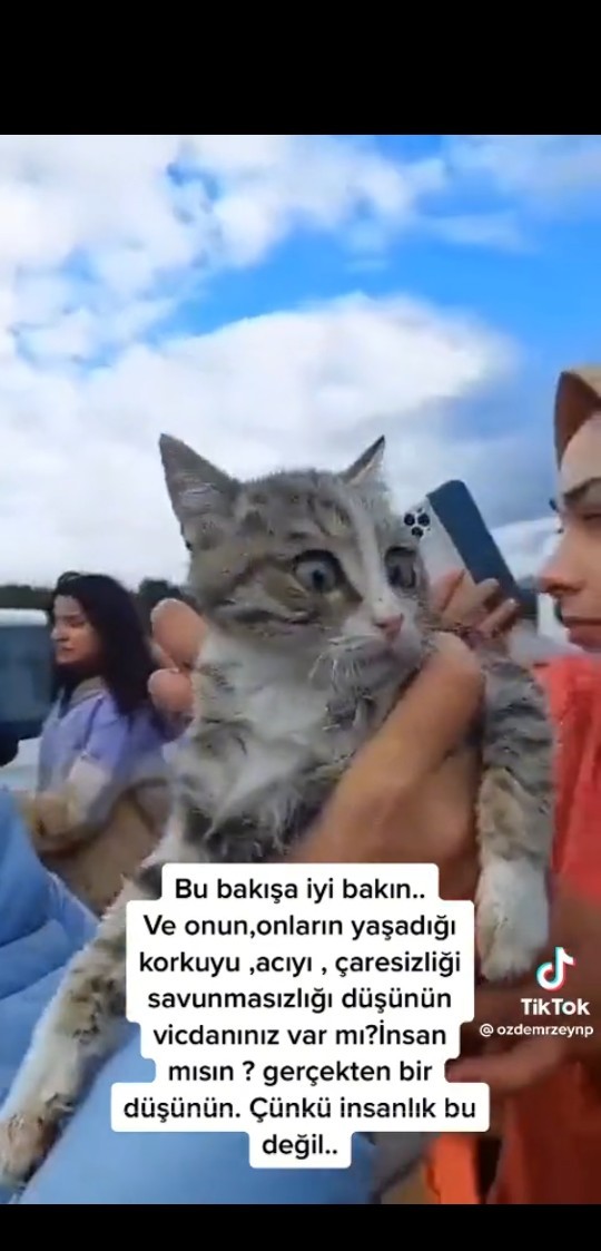 Bu güzelliğin gözlerindeki nasıl bir korku?
