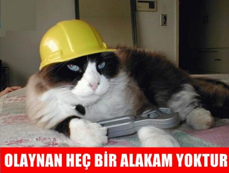 2022’de cinsel hayatın nasıl geçti, tek cümle ile özetler misin?