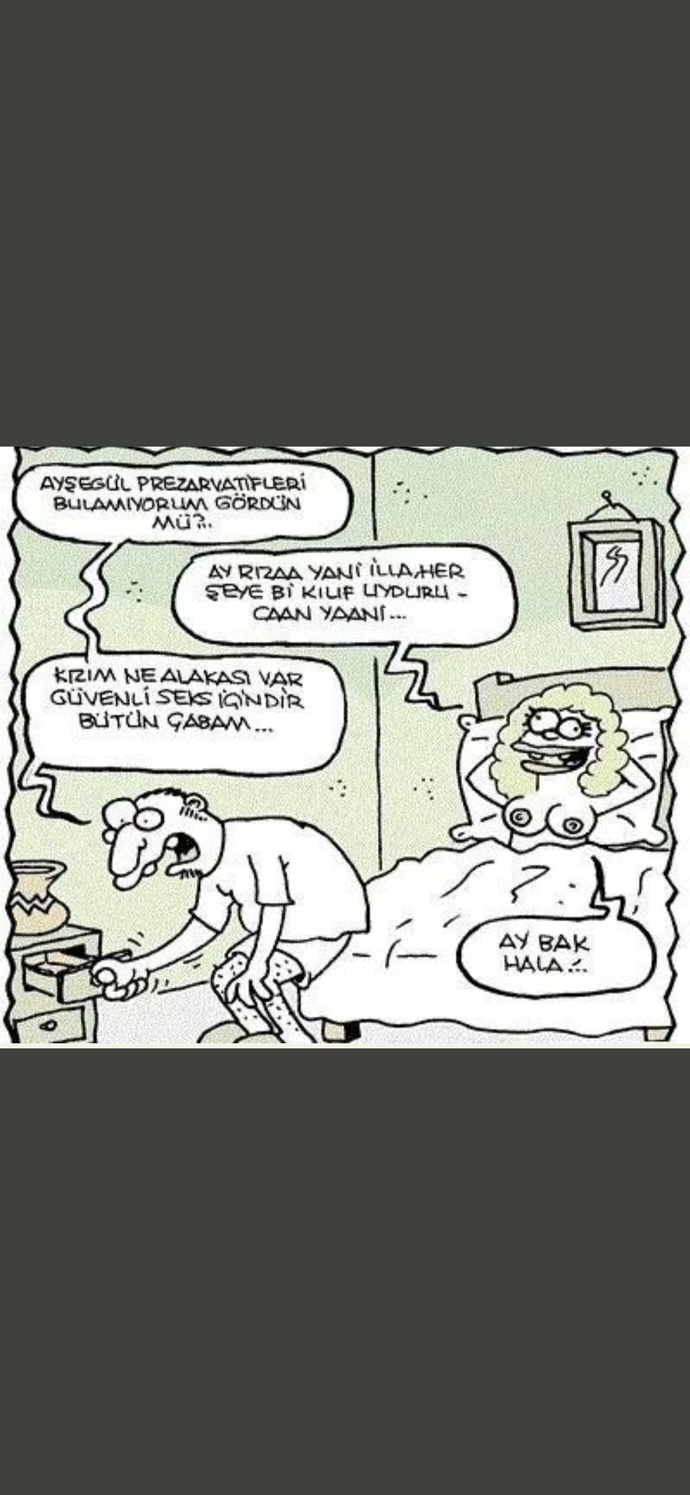 Herseye kılıf uydururmusunuz ?
