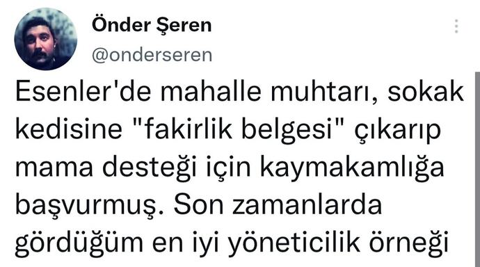 Sokak hayvanlarının mama ihtiyacı için sizce ne yapmak gerekiyor?