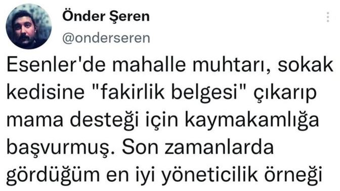 Sokak hayvanlarının mama ihtiyacı için sizce ne yapmak gerekiyor?