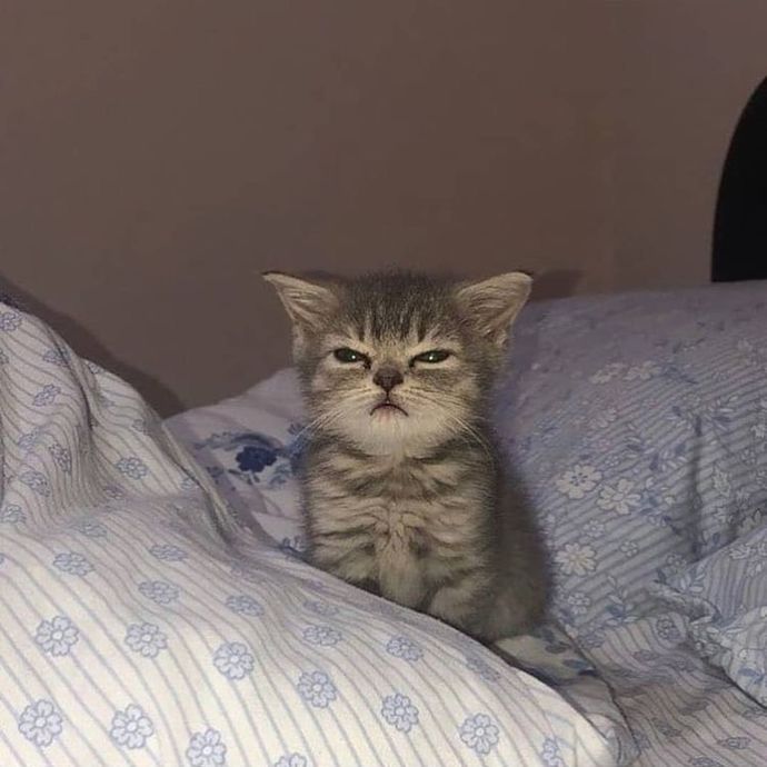 Yeni bir iş teklifi/imkanı için farklı bir şehire taşınır mıydınız😕?