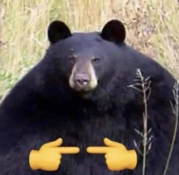 Yeni bir iş teklifi/imkanı için farklı bir şehire taşınır mıydınız😕?