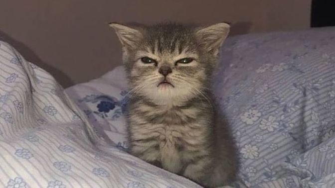 Yeni bir iş teklifi/imkanı için farklı bir şehire taşınır mıydınız😕?