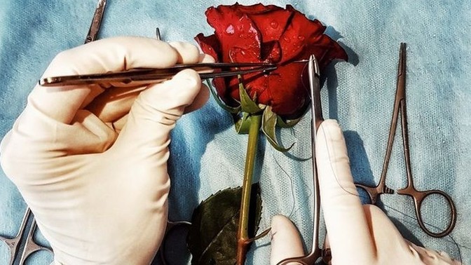 Zor günlerde tanımadığınız insanlara yardım eder misiniz?