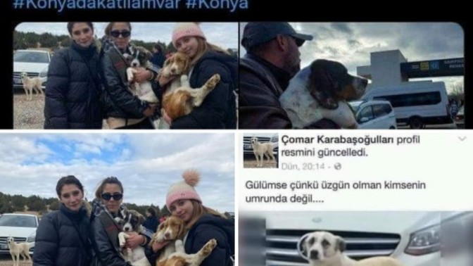 Bu hayvan severler hiç samimi değil?