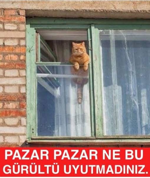 Pazar günleri erken mi geç mi kalkarsınız?