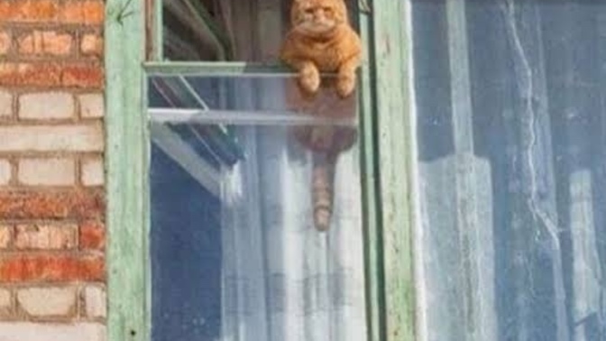 Pazar günleri erken mi geç mi kalkarsınız?