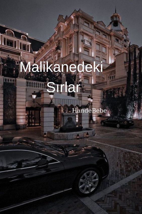 Hangi kitap kapağı?