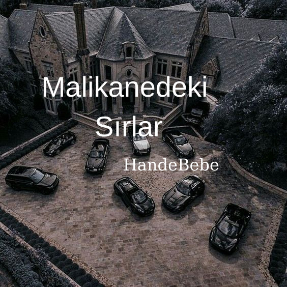 Hangi kitap kapağı?