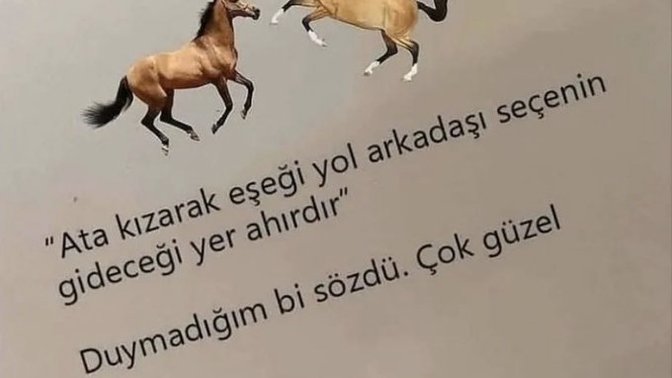 Sinirlenince neden daha kötü birini yol arkadaşı olarak seçiyoruz?