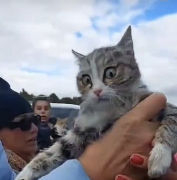Konyada tıbbi atık poşetinden kurtarılan kedi hayatını kaybetmiş! Bu dünya hayvanlar için çok kötü değil mi :(?