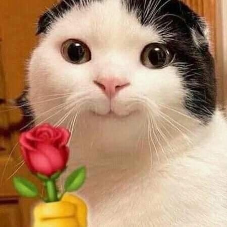 İstediğiniz her şeyi elde edebilir misiniz✨?