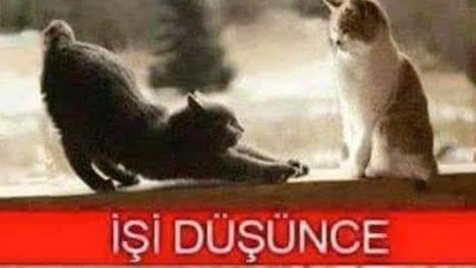 En menfaatçi olduğunu düşündüğünüz burç hangisi?