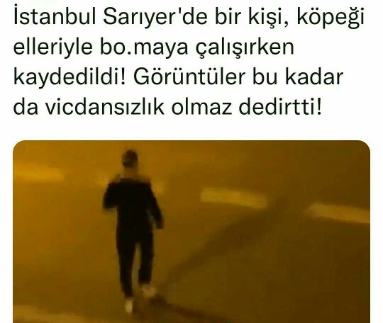İstanbul Sarıyerde bir kişi, köpeği elleriyle boğmaya çalışırken yakalandı! Neler oluyor bunlara?