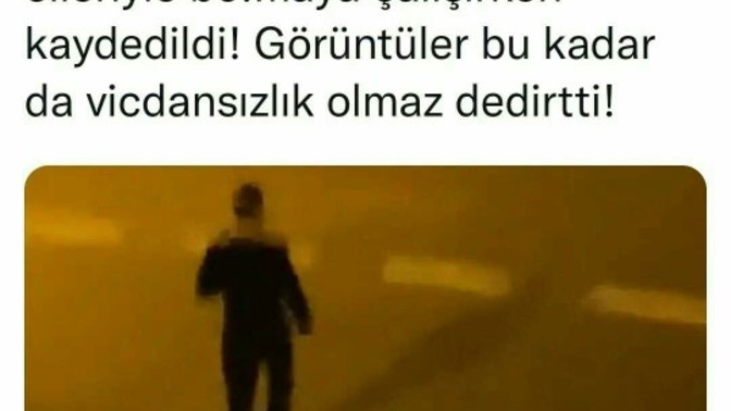 İstanbul Sarıyer'de bir kişi, köpeği elleriyle boğmaya çalışırken yakalandı! Neler oluyor bunlara?