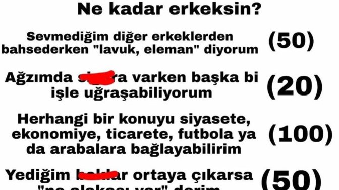 Ne kadar erkeksiniz, puanları yazalım?