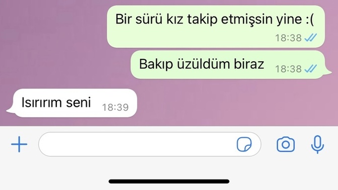 Ciddi bir ilişkiye adım atarken bu mesaj neyi gösteriyor?