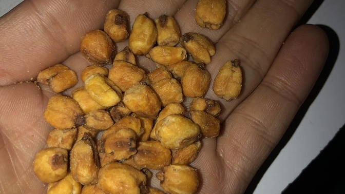 Tuzlu mısır seven var mı?