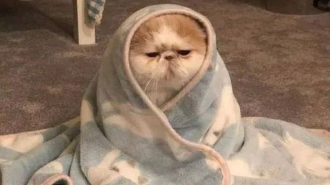 Bu hayatta sizi en çok yoran insan tipi/davranışı nedir 🙄🙄?