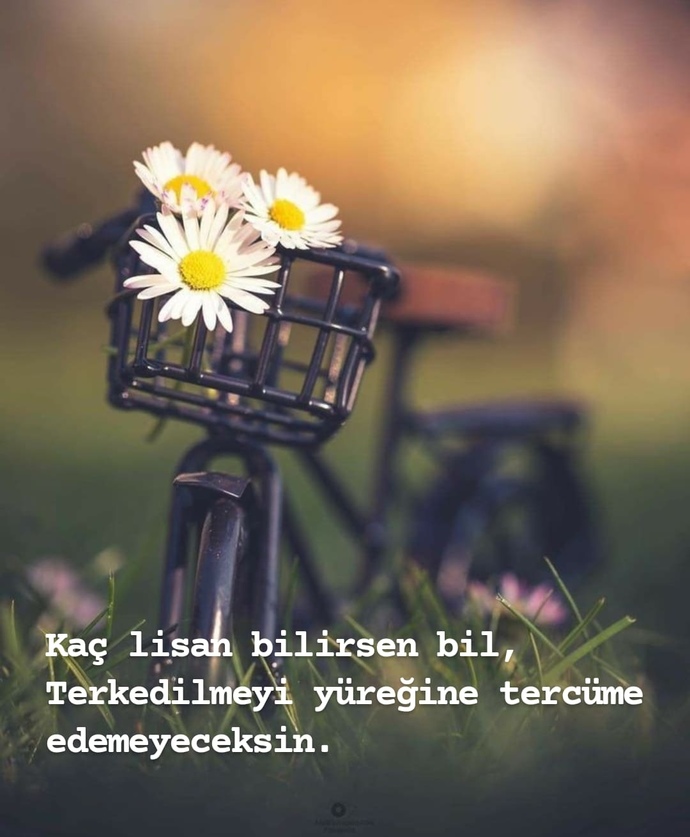 Terk edilmeyi yüreğinize nasıl tercüme ettiniz?