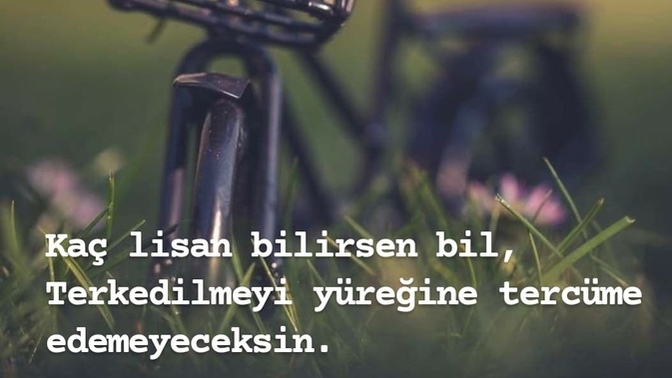 Terk edilmeyi yüreğinize nasıl tercüme ettiniz?