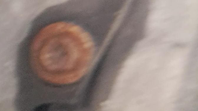 Sizce aracım yağ mı kaçırıyor?