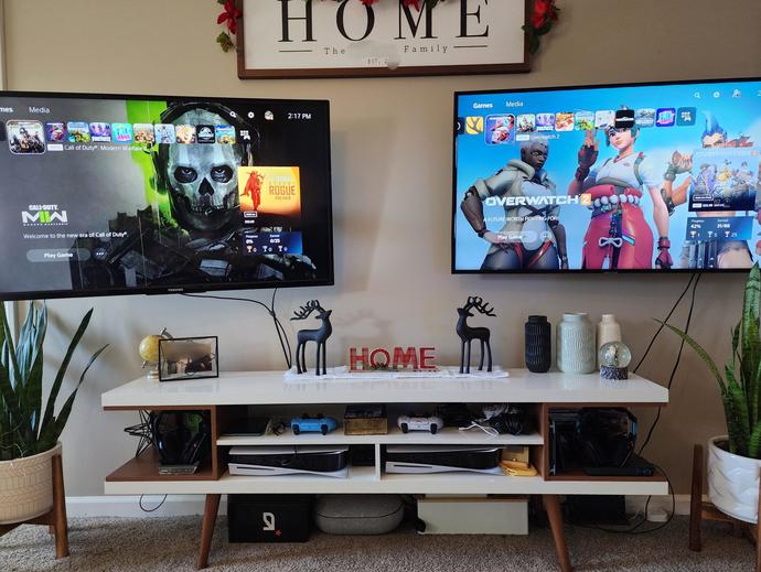 Her gamer erkeğin hayali, 1+1 ev ve gamer manita mı :D?