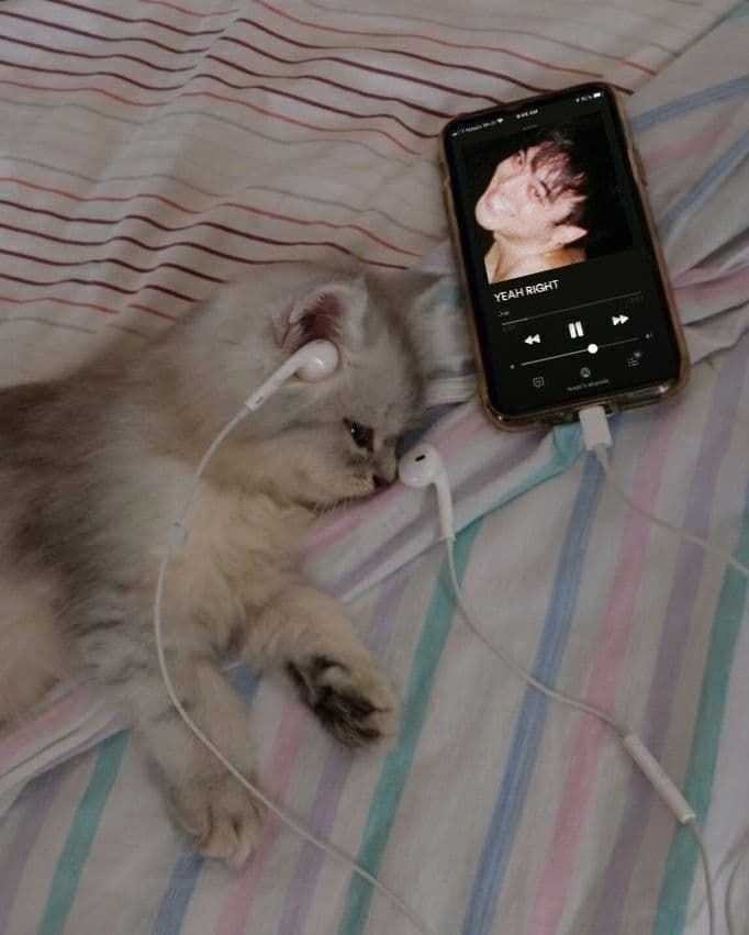Her sevgilinin ayrılık şarkısı farklı mıdır?