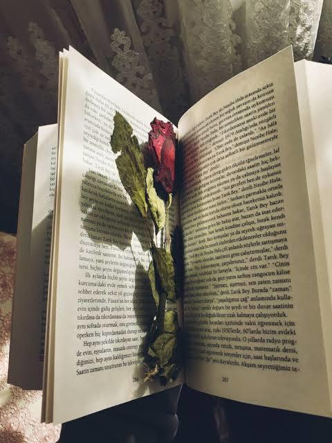 🥀🥀🥀