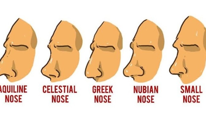 Senin burun şeklin hangisi?