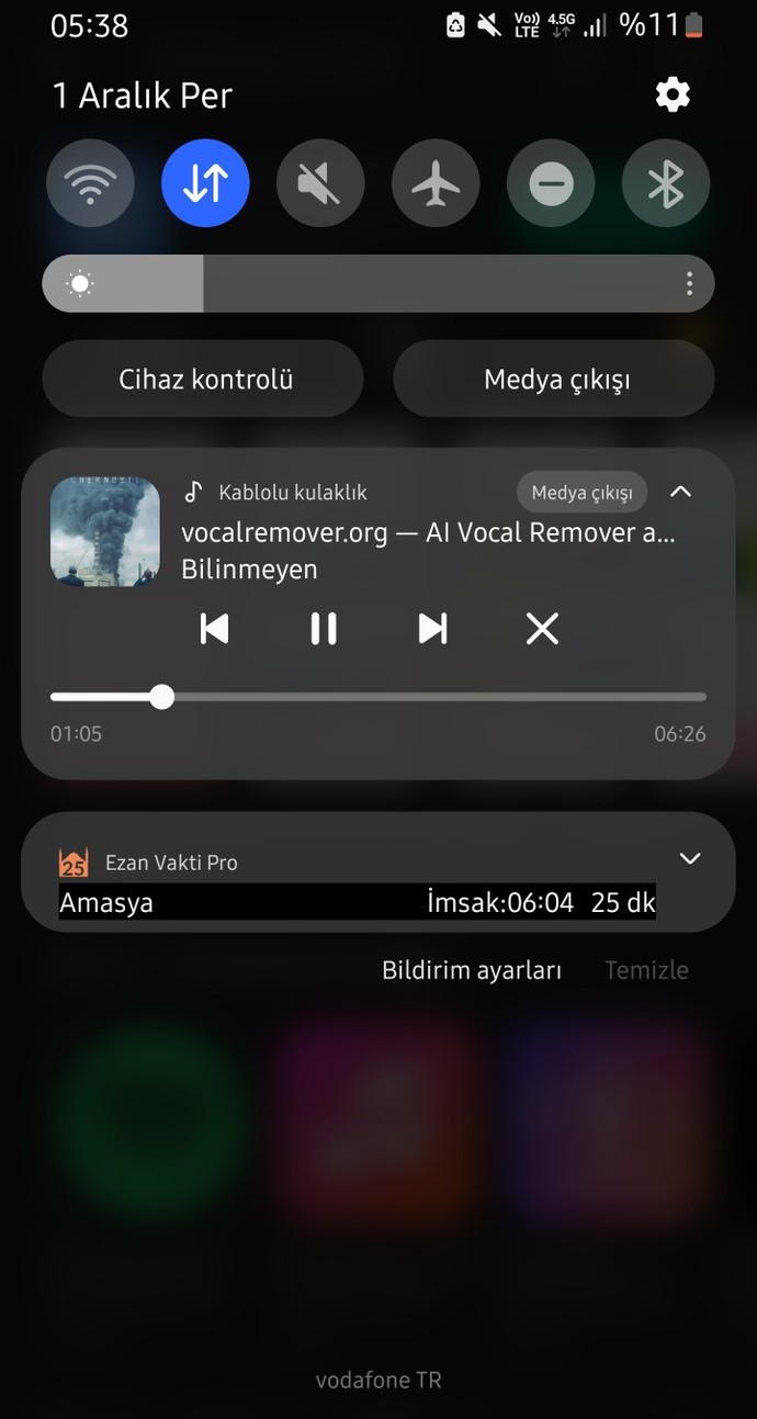 2022 yılında Spotify'dan en çok hangi sanatçıyı dinledin?