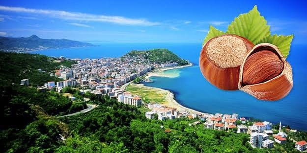 Şehrinizin neyi meşhur?