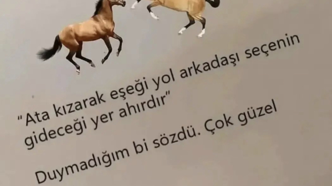 Orijinal laf sokucu sözleriniz nedir😄?