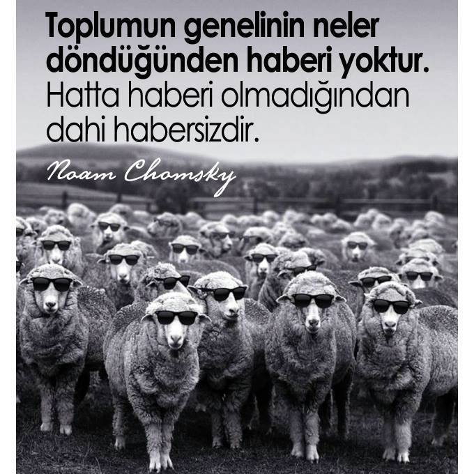 “Bizi dış mihraklar yönetiyor! Dünya bir tane ailenin elinde!” gibi komplo teorisi safsatalarına inanıyor musunuz?