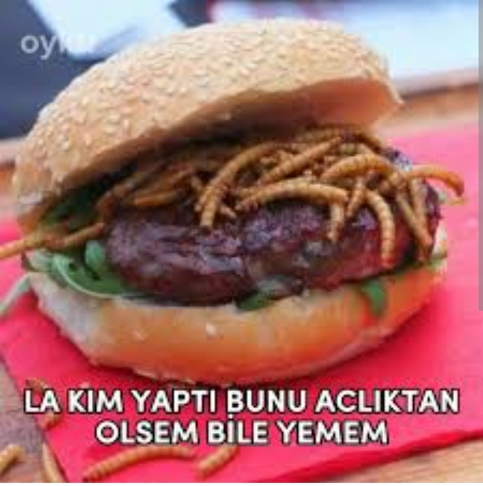 Açlıktan ölsem de asla yemem dediğiniz bir şey var mı? Nedir?