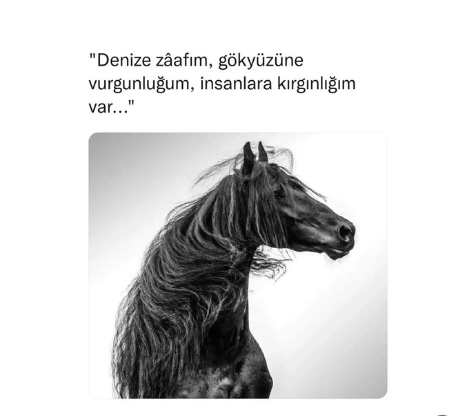Bir insan aynı anda bir çok duyguyu yaşayabilir mi?