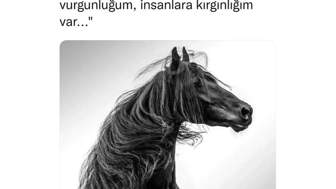 Bir insan aynı anda bir çok duyguyu yaşayabilir mi?