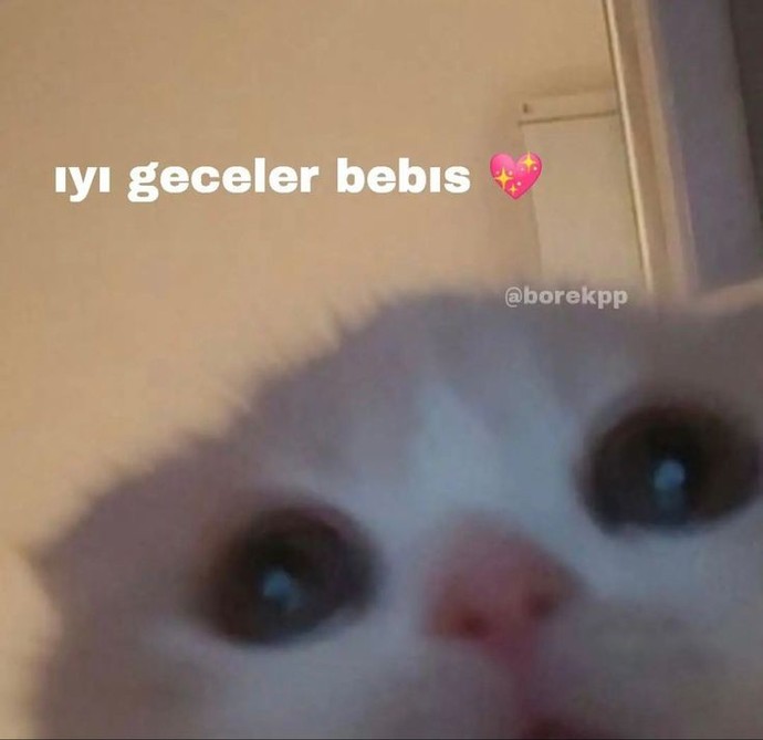 İyi geceler herkese.💓