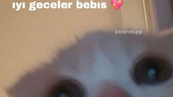 Bugün birisi size iyi geceler dedi mi veya mesaj attı mı?
