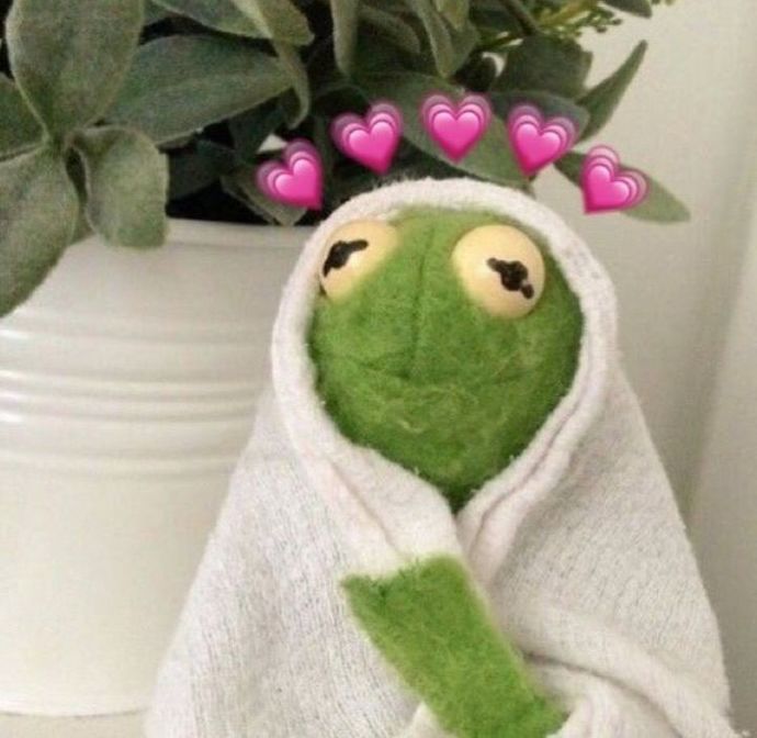 ✨