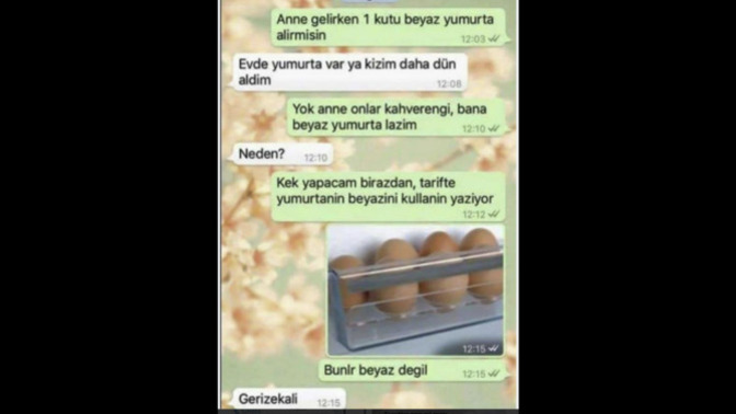 Bu kızdan Ev hanımı olur mu?