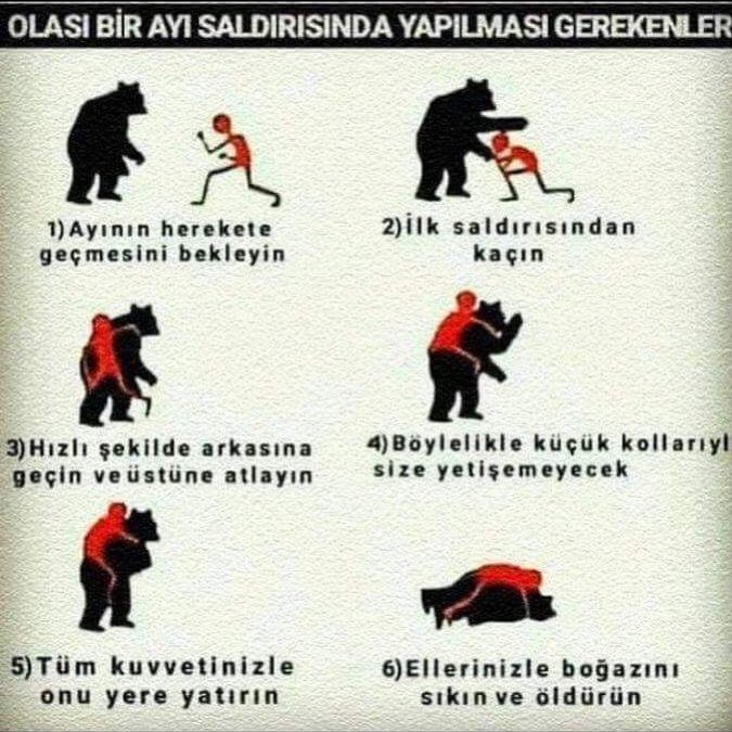 Daha önce hiç ayı saldırısına uğradınız mi, Uğradıysanız nasıl kurtuldunuz?