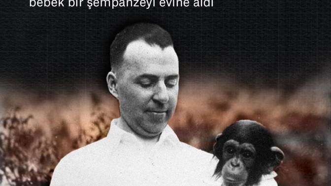 Bilim için çocuğunuzu bir şempanzeyle büyütür müydünüz?