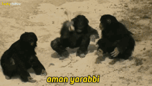 Erken yaşta vücudum çok kıllı?