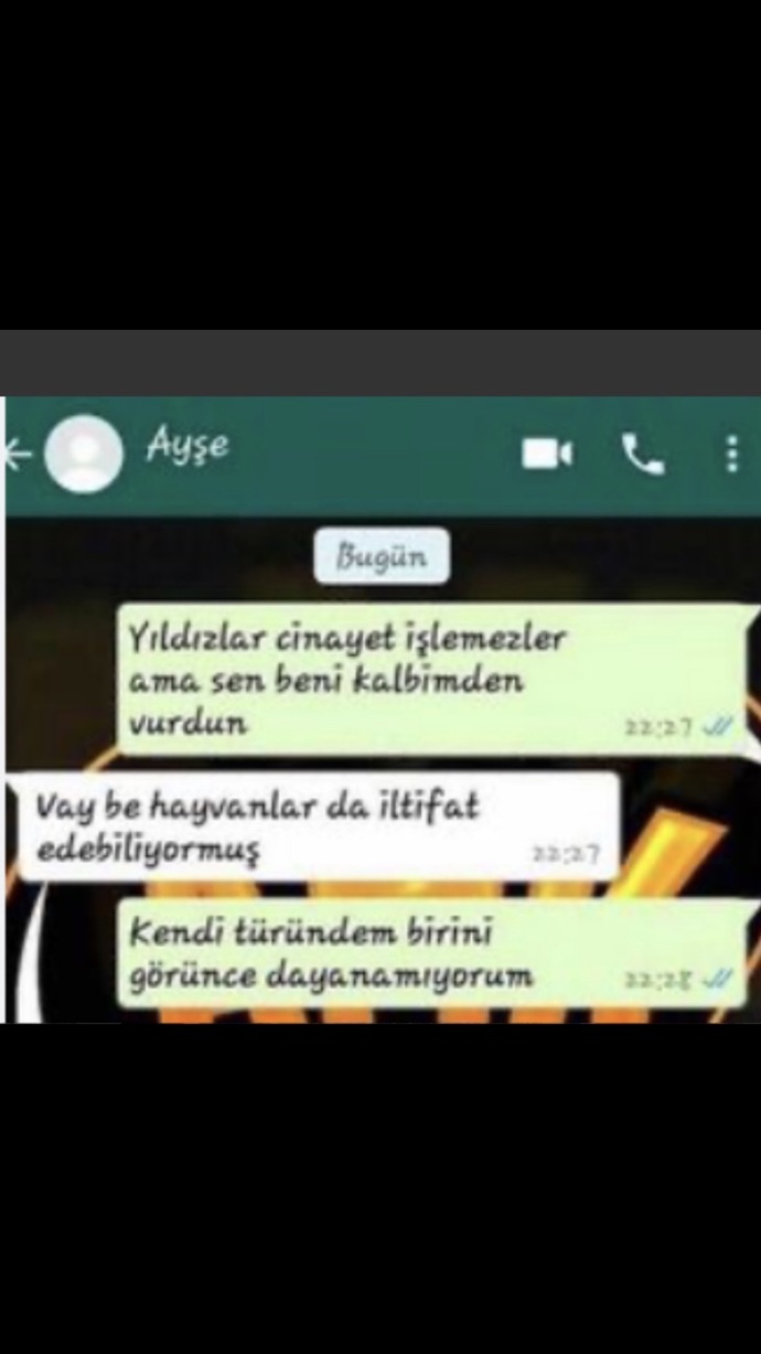 Ayşe’ye yazık değil mi?