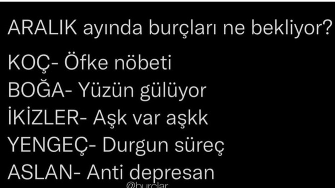 Burcunuzu Aralik ayinda ne bekkiyormuş?