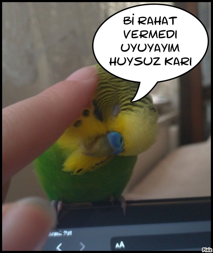 Size şu an ne iyi gelir?
