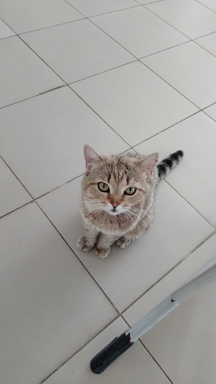 Hayatınızda duyduğunuz en gereksiz soru neydi?
